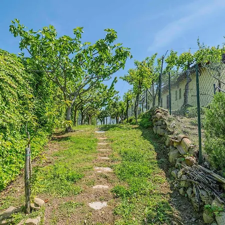 Liberty Style In Marche With Private Pool *